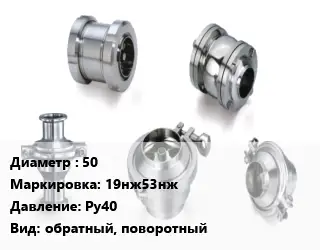 Клапан нержавеющий 50 19нж53нж Ру40 обратный, поворотный